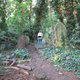 Image for article titled Secret Spot: The Nunhead Reservoir in London